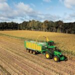 Maize clamp management key  – Agrimachinery News