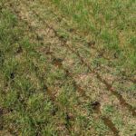 Reduce Slurry storage pressure – Agrimachinery News