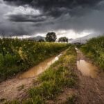 ŽŪM primena: savivaldybės laukia duomenų apie audros nuostolius
