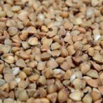 Nesutinkantiems su fitosanitarinių tyrimų rezultatais – galimybė kreiptis į kitą